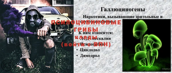 СК Арсеньев