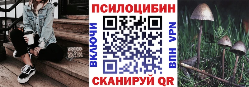 Галлюциногенные грибы Psilocybe  Купить закладки  Красновишерск 