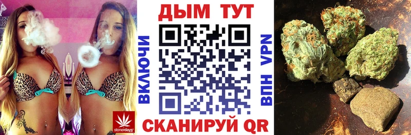 Бошки Шишки SATIVA & INDICA  Купить закладки  Красновишерск 